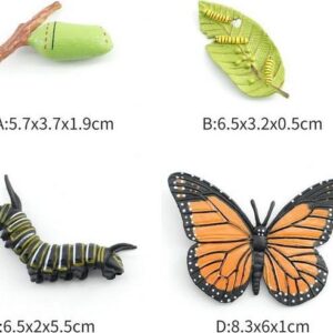 C - Figurka Motýl Monarcha stěhovavý 4 vývojové fáze 8 cm