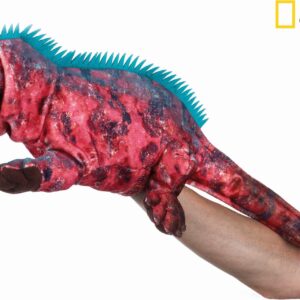 National Geographic maňásek Medvěd Grizzly 23 cm